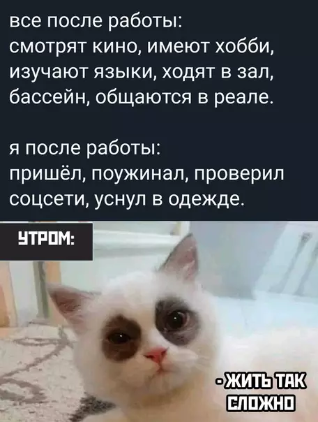 Смешная картинка №445843 Мой каждый день