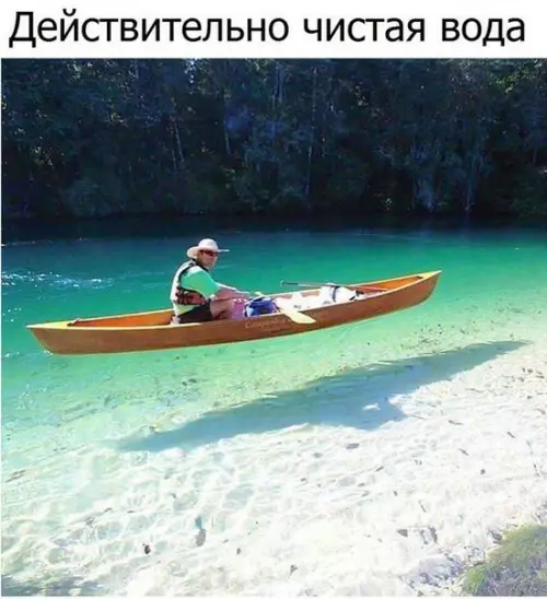 Смешная картинка №204696