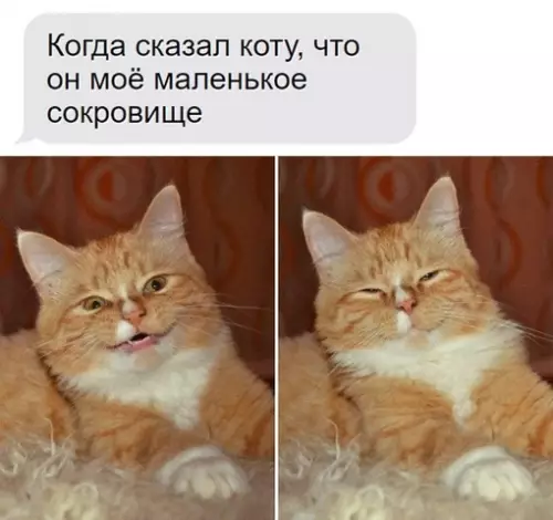 Смешная картинка №689708