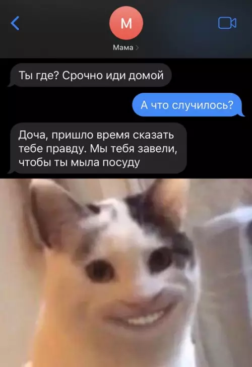 Смешная картинка №656182 Родители