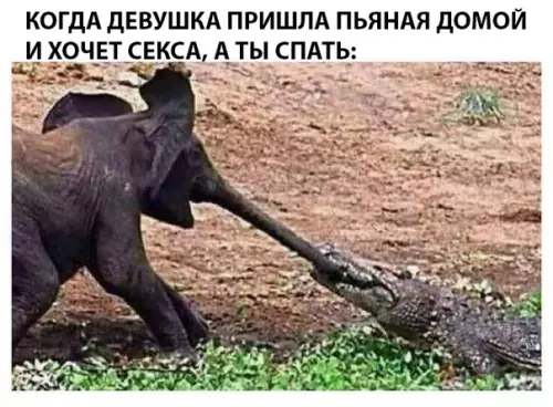 Смешная картинка №295819