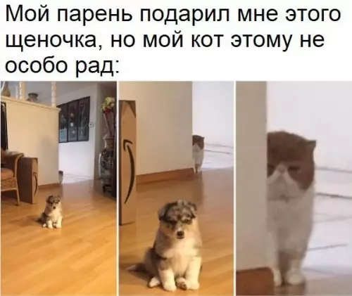Смешная картинка №267349