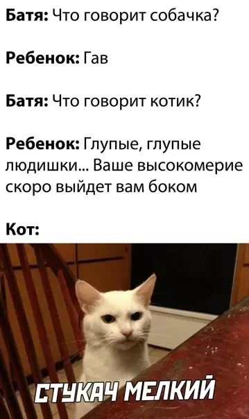 Смешная картинка №543840