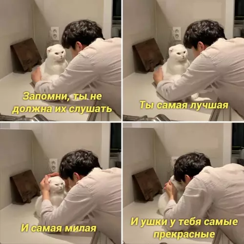 Смешная картинка №664372