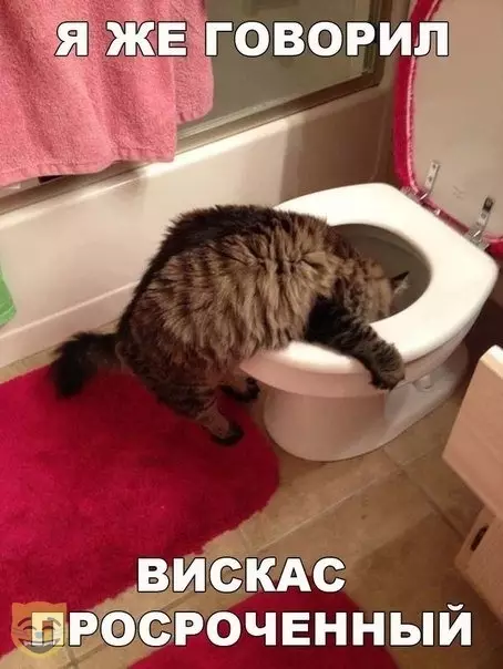 Смешная картинка №364913 #приколы #картинки #мемы ?