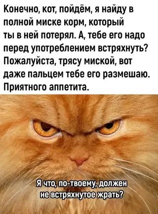 Смешная картинка №684275 Коты