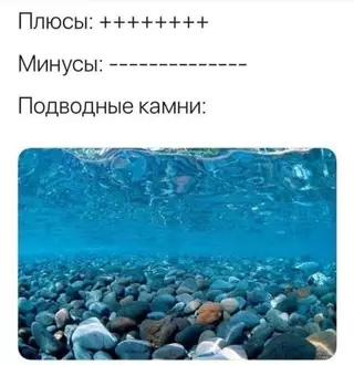 Смешная картинка №639245 На случай важных переговоров