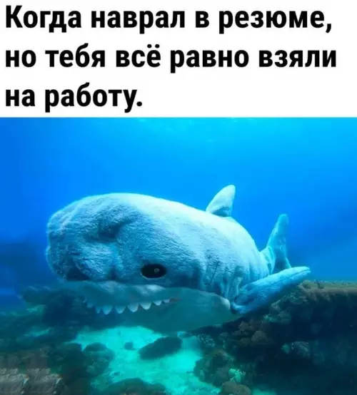 Смешная картинка №796484