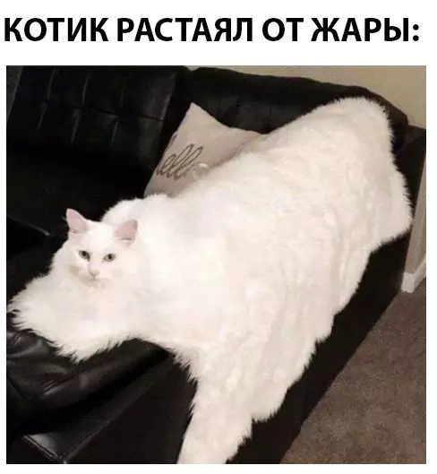 Смешная картинка №292111