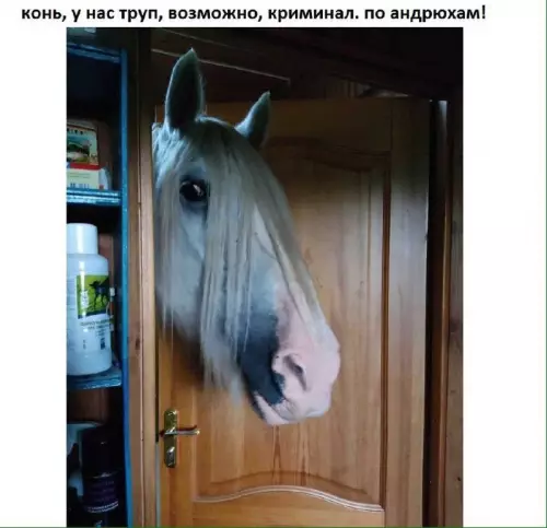 Смешная картинка №708171