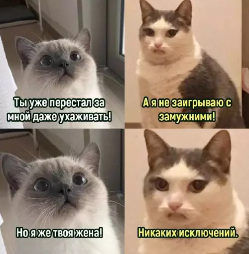 Смешная картинка №701391