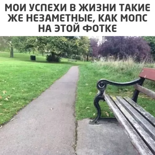 Смешная картинка №523141