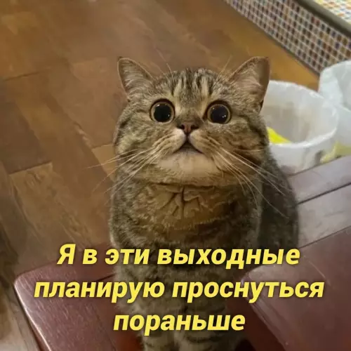 Смешная картинка №657292