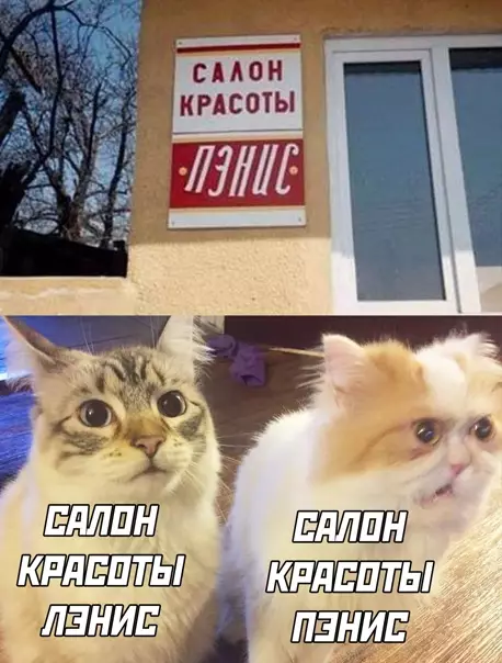 Смешная картинка №549196