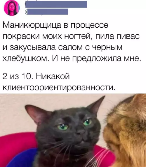Смешная картинка №738210 Ужасная ситуация 