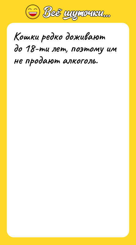 Кошки редко доживают до 18-ти лет, поэтому им не продают