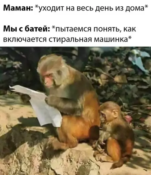 Смешная картинка №473966