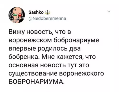 Смешная картинка №333875