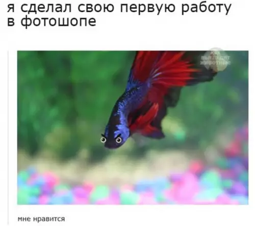 Смешная картинка №247377