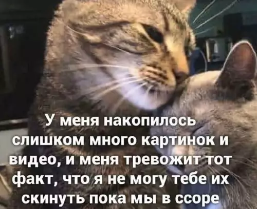 Смешная картинка №661143