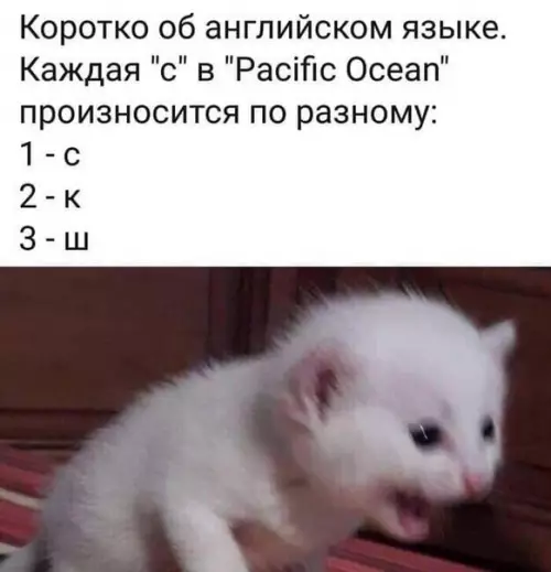 Смешная картинка №463206 Твоя жизнь уже не станет прежней.