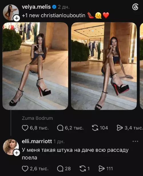 Люкс vs Дача 😂 - 1 new christianlouboutin У меня такая штука на даче всю