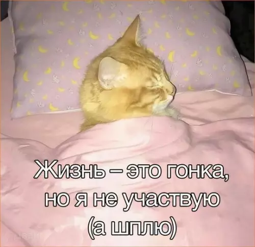 Смешная картинка №745114