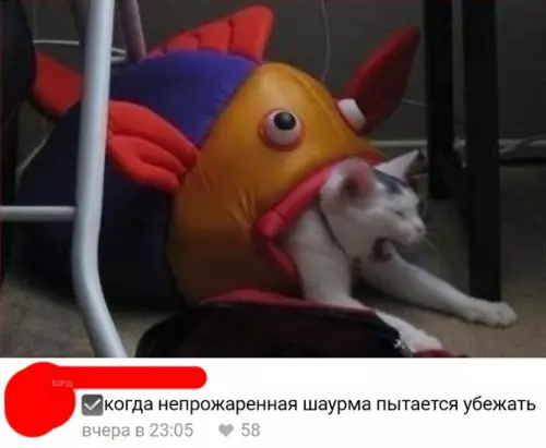 Смешная картинка №274932
