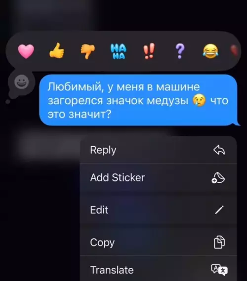 Смешная картинка №767521 Медуза в машине 