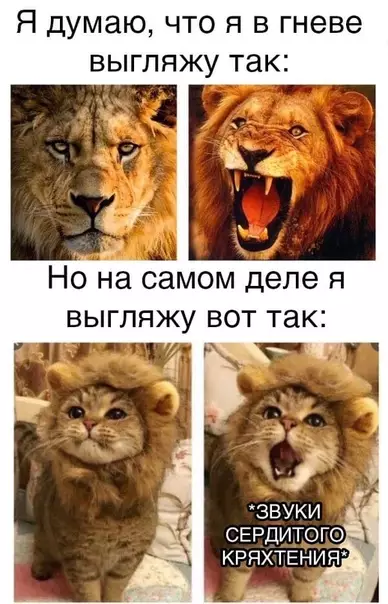 Смешная картинка №498587 Жизненно