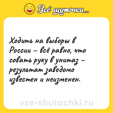 Шутка: Ходить на выборы в России – всё равно, что совать руку в унитаз – результат заведомо известен и неизменен.