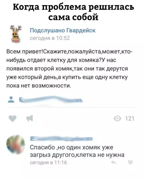 Смешная картинка №301697