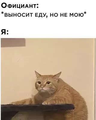 Смешная картинка №633206