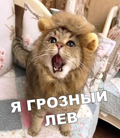 Смешная картинка №403235 Ух, как страшно!