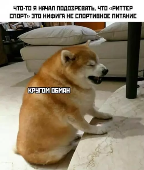 Смешная картинка №655516