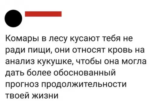 Смешная картинка №354467 Мой мир не станет прежним