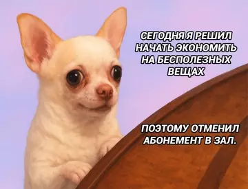Смешная картинка №776092 Позже я вернусь к вам с другими советами по финансовой грамотности