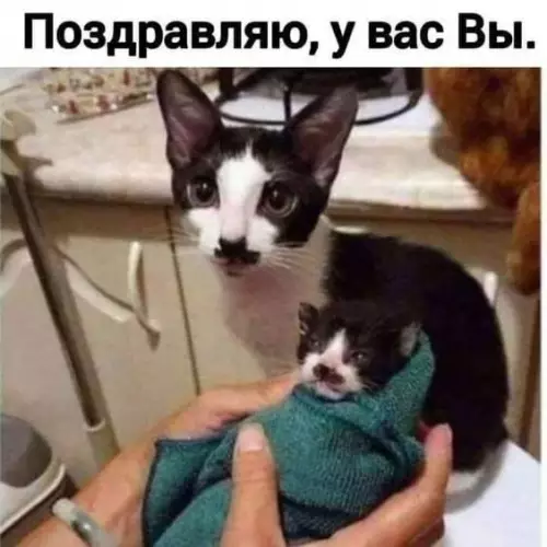Смешная картинка №688320