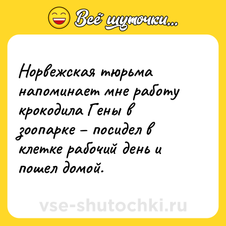 Шутка: Норвежская тюрьма напоминает мне работу крокодила Гены в зоопарке – посидел в клетке рабочий день и пошел домой.