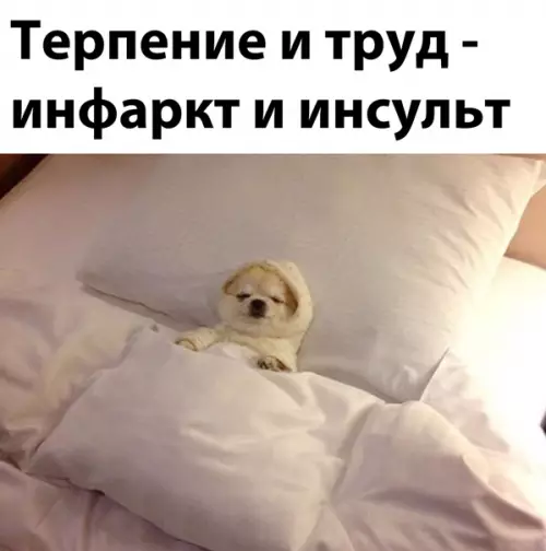 Смешная картинка №544345