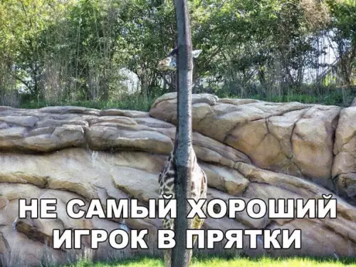 Смешная картинка №270048