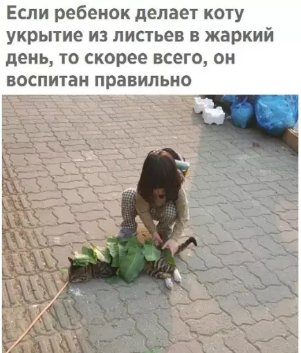 Смешная картинка №291894