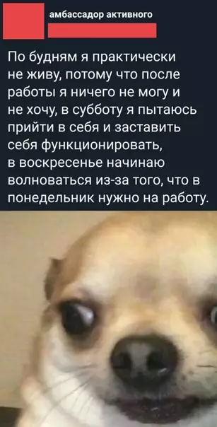 Смешная картинка №525436