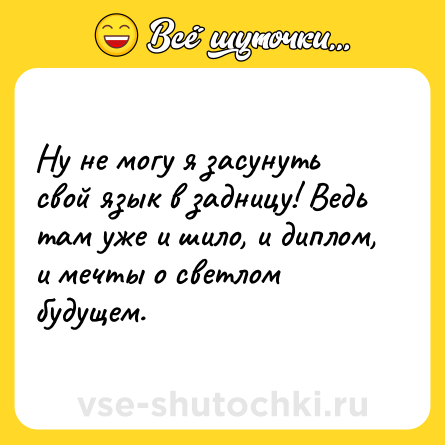Шутка: Ну не могу я засунуть свой язык в задницу! Ведь там уже и шило, и диплом, и мечты о светлом будущем.