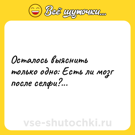 Шутка: Осталось выяснить только одно: Есть ли мозг после селфи?...