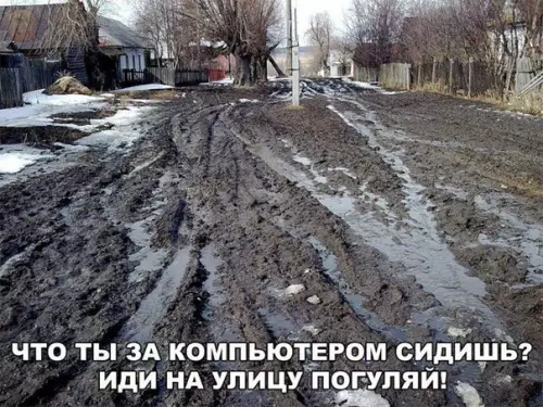 Смешная картинка №257839 весна