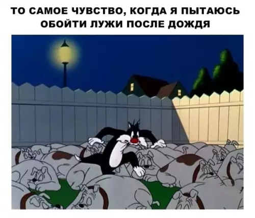Смешная картинка №290005