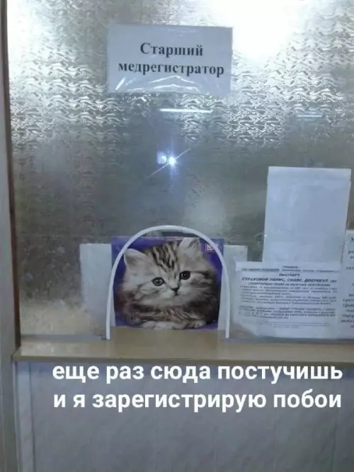 Смешная картинка №669296