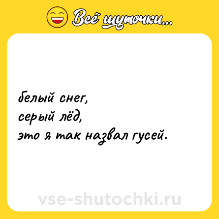 Шутка: белый снег, <br>серый лёд, <br>это я так назвал гусей.