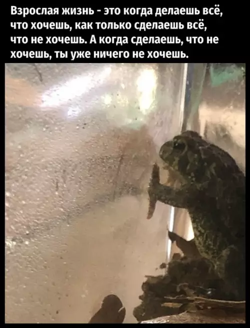 Смешная картинка №773859